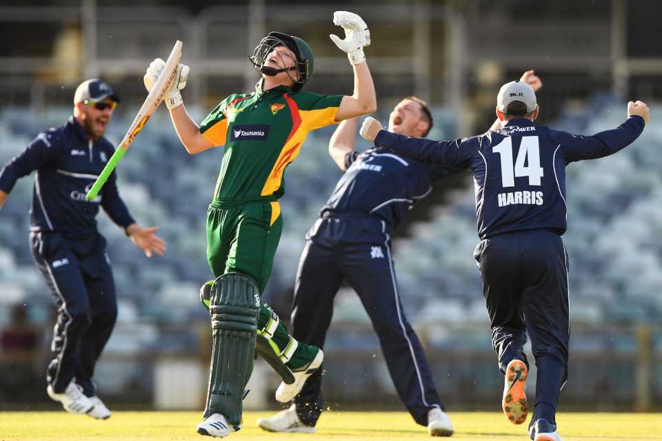 Nathan Ellis reacts to being given out lbw as Victoria celebrate