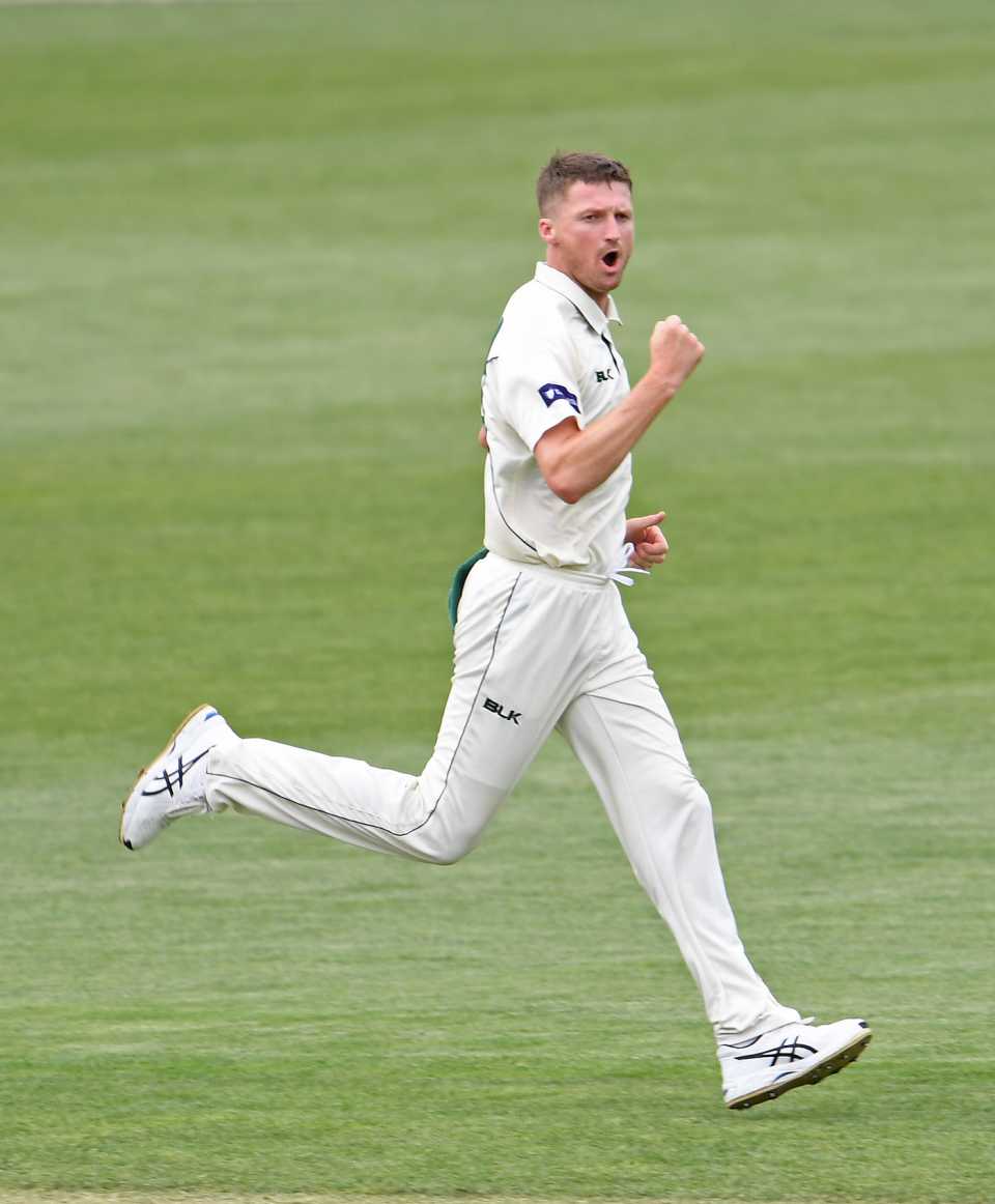Jackson Bird celebrates a wicket