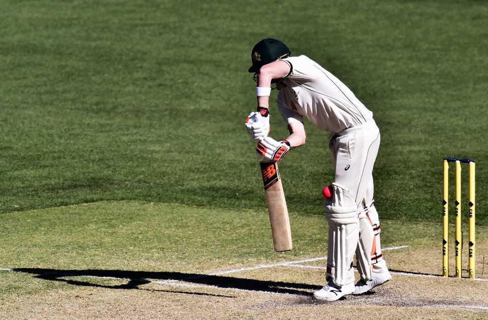 Steven Smith is struck on the pads, Australia v New Zealand, 3rd Test, Adelaide, 3rd day, November 29, 2015