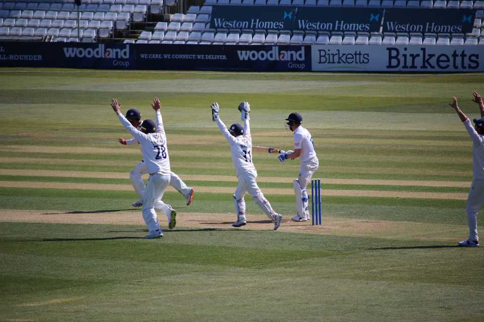 Essex players delight in their victory over Durham