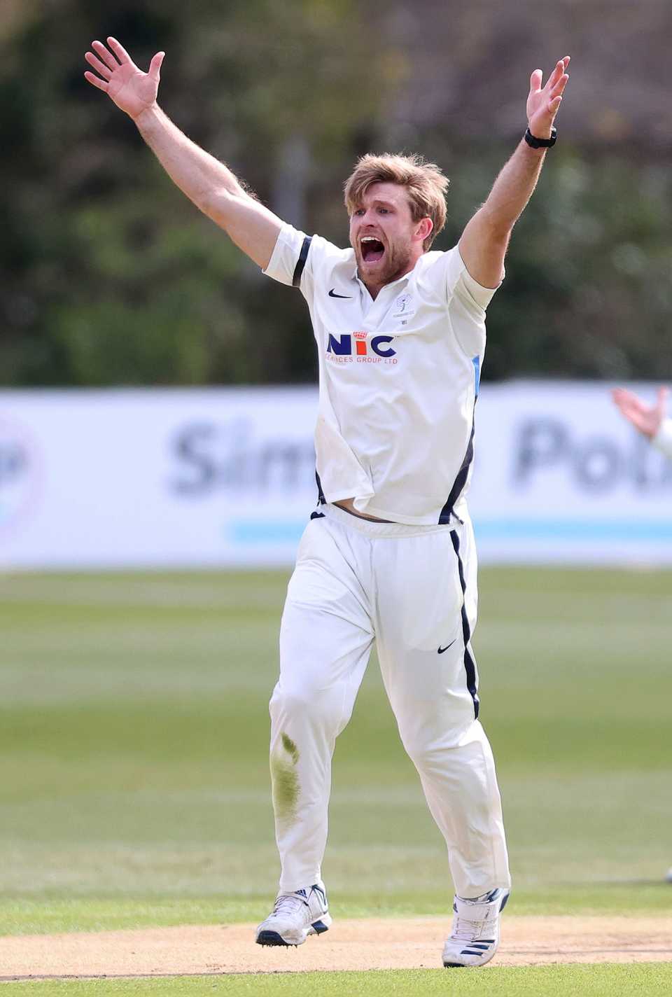 David Willey appeals for a wicket  