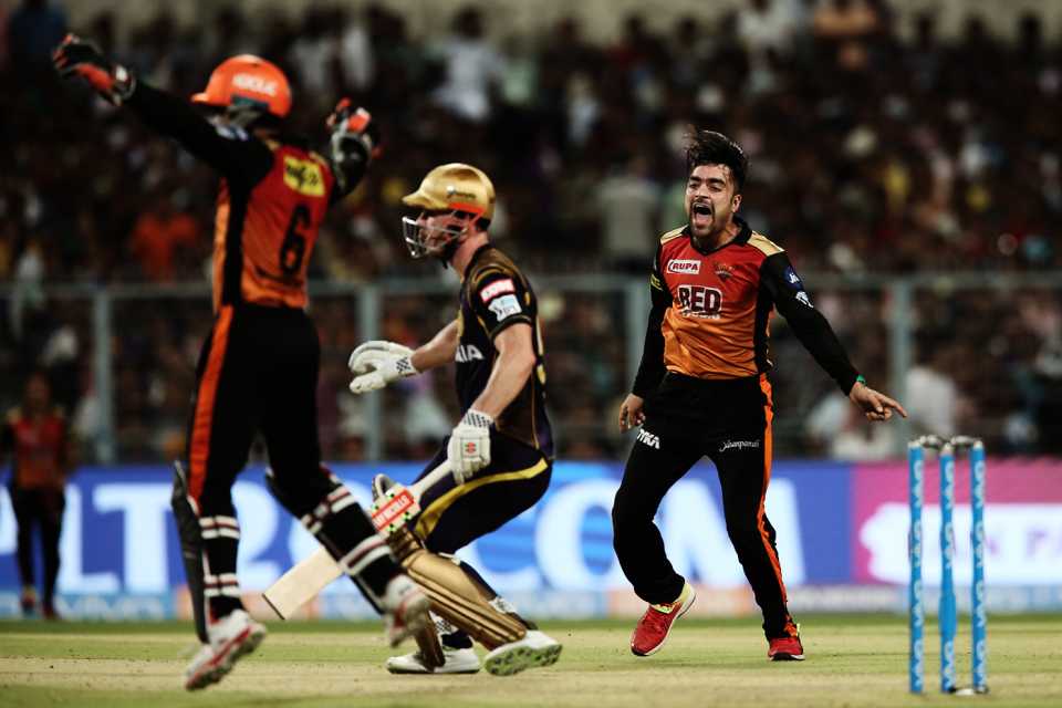 Rashid Khan celebrates the wicket of Chris Lynn