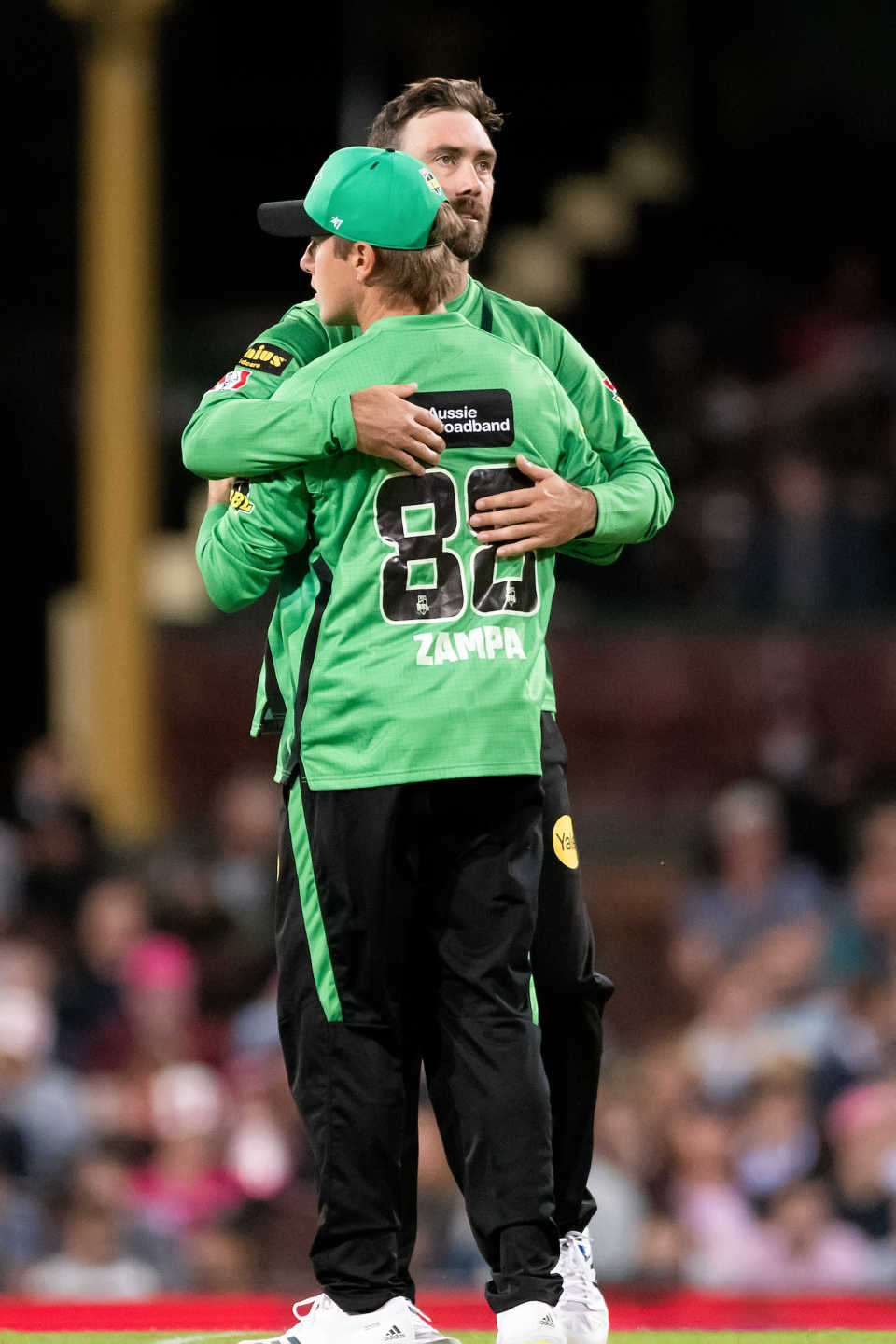 Adam Zampa and Glenn Maxwell celebrate a wicket