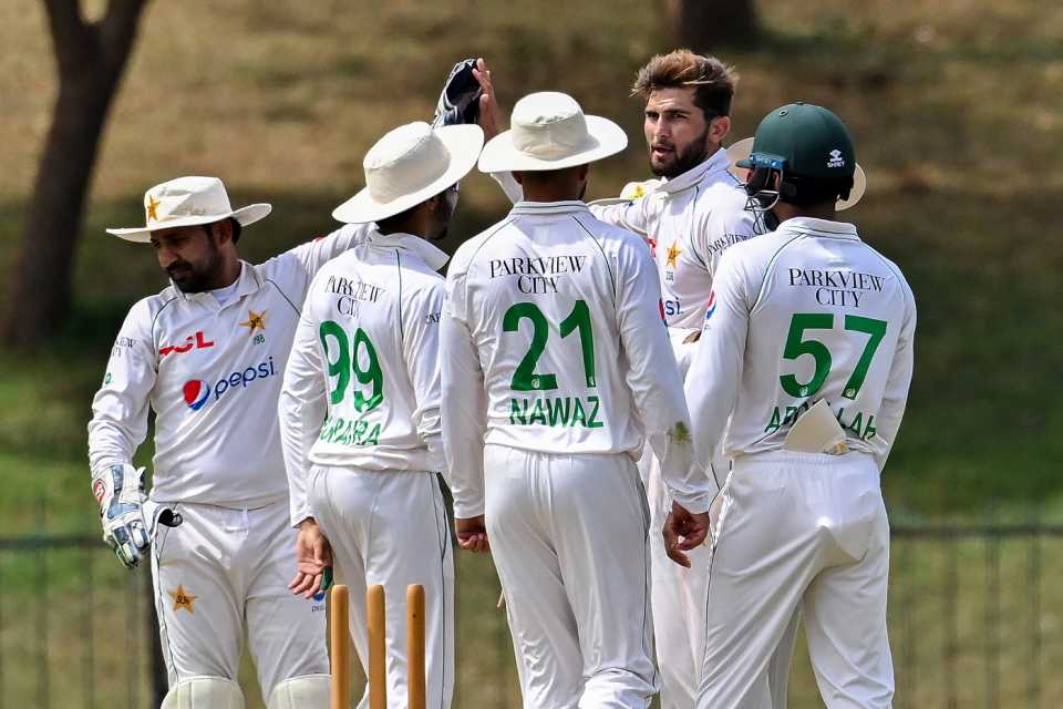 The Pakistan players celebrate a wicket