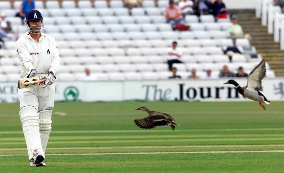 Nick Knight chases some unwanted ducks off the field during the County Championship match against Durham at the Riverside, Chester-le-Street