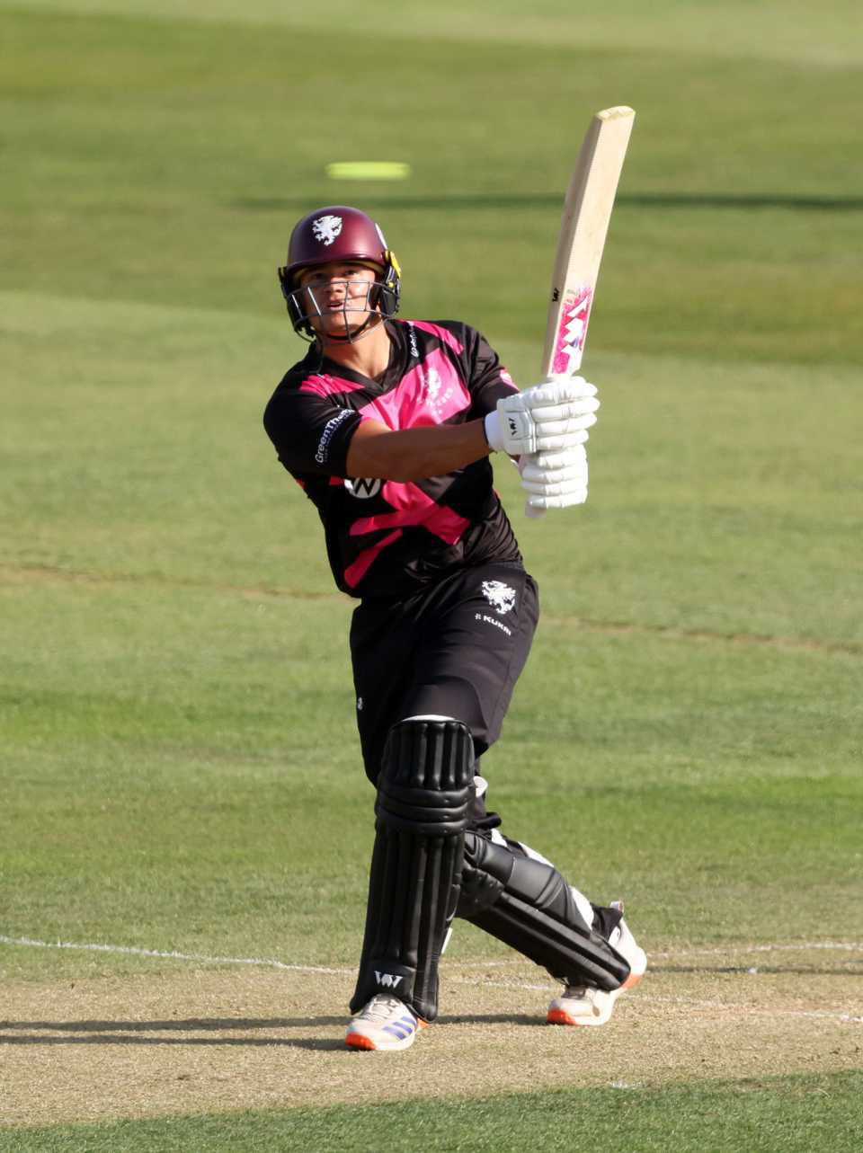 Will Smeed put Essex to the sword, Essex v Somerset, Vitality Blast, Chelmsford, June 1, 2025