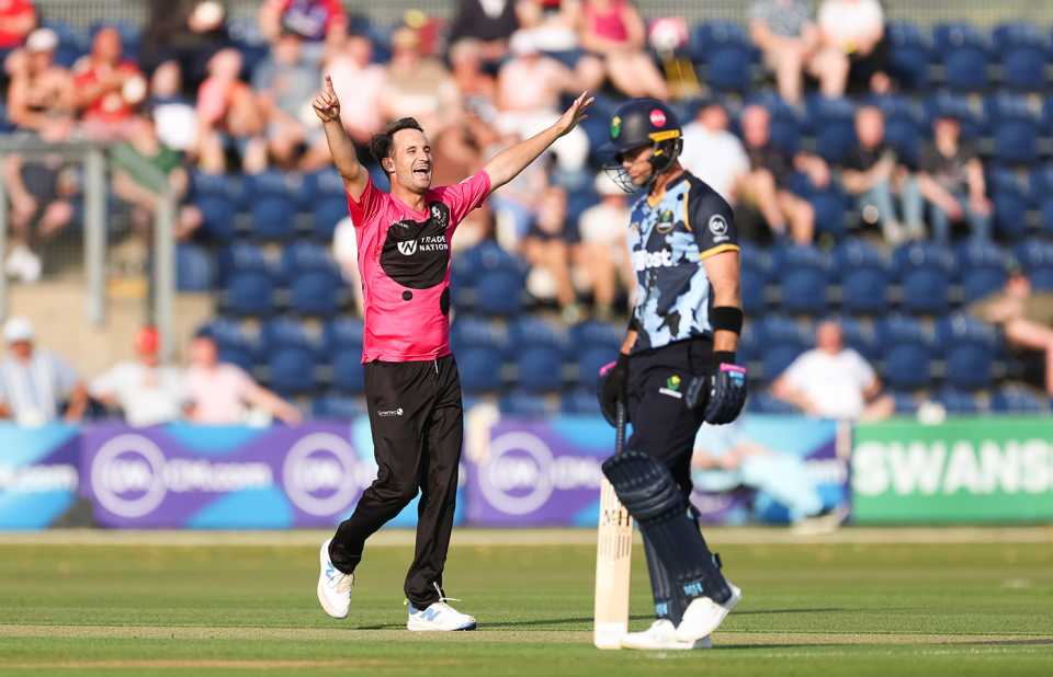 Lewis Gregory celebrates a wicket, Glamorgan vs Somerset, Men's T20 Blast, Cardiff, June 20, 2025