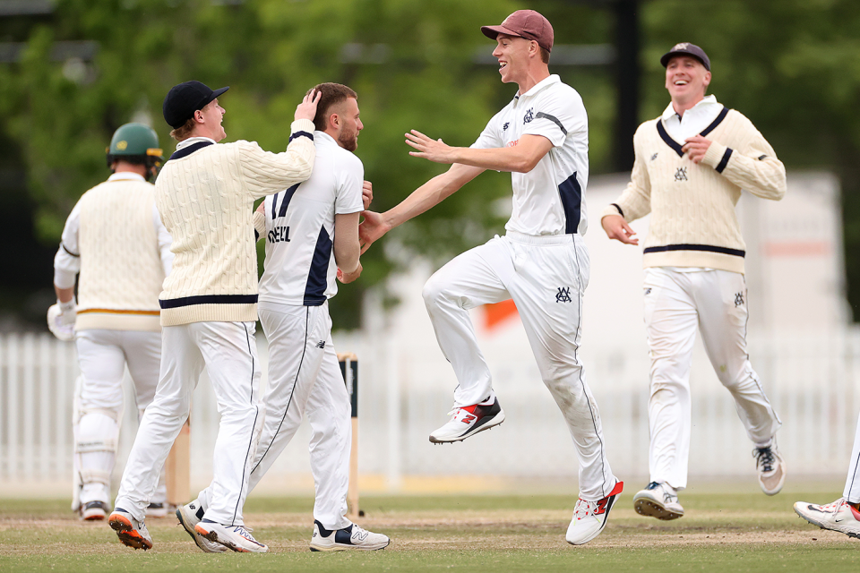 Victoria celebrate one of Fergus O'Neill's wickets, Victoria vs Tasmania, Sheffield Shield, Junction Oval, October 31, 2025