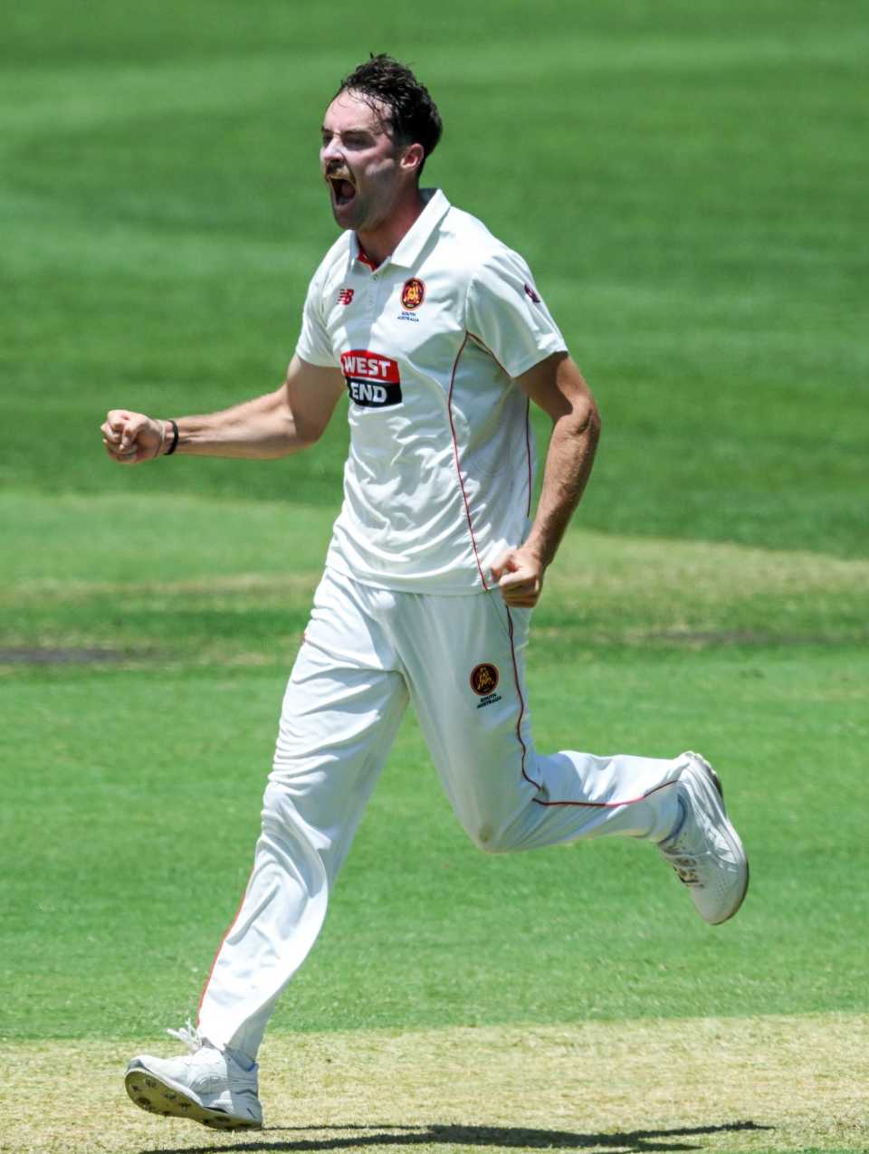 Jordan Buckingham claimed four wickets, South Australia vs Tasmania, Sheffield Shield, Adelaide Oval, December 5, 2025 