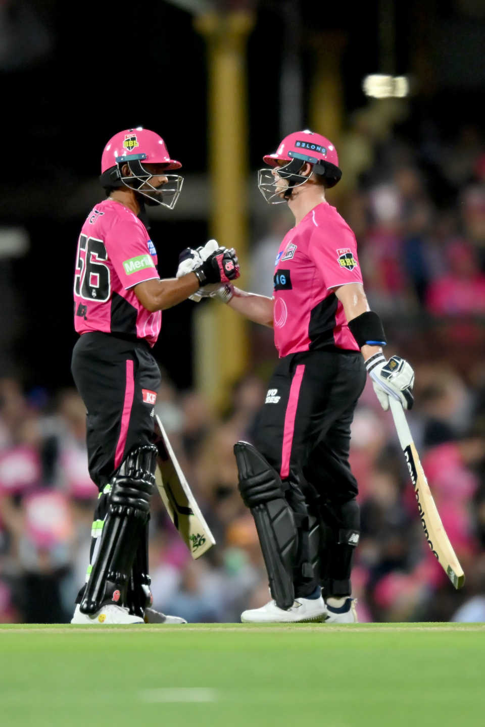Babar Azam and Steven Smith put on 141-run opening stand, Sydney Sixers vs Sydney Thunder, BBL, SCG, January 16, 2025