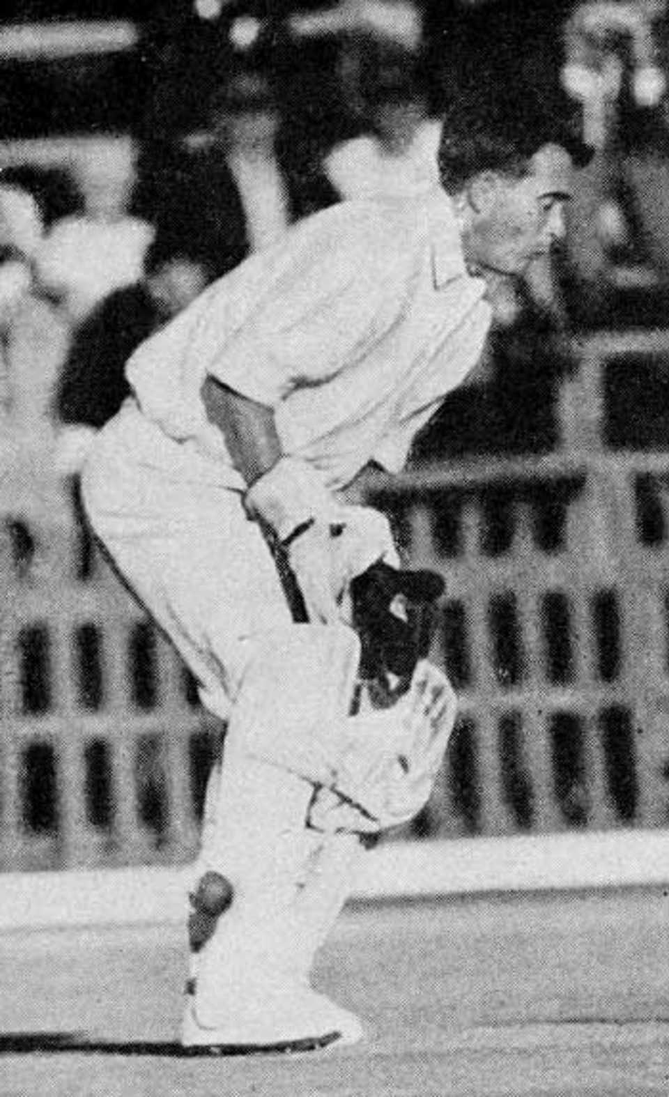 Profile of Denis Lindsay wicketkeeping, Australia in South Africa, 1966-67
