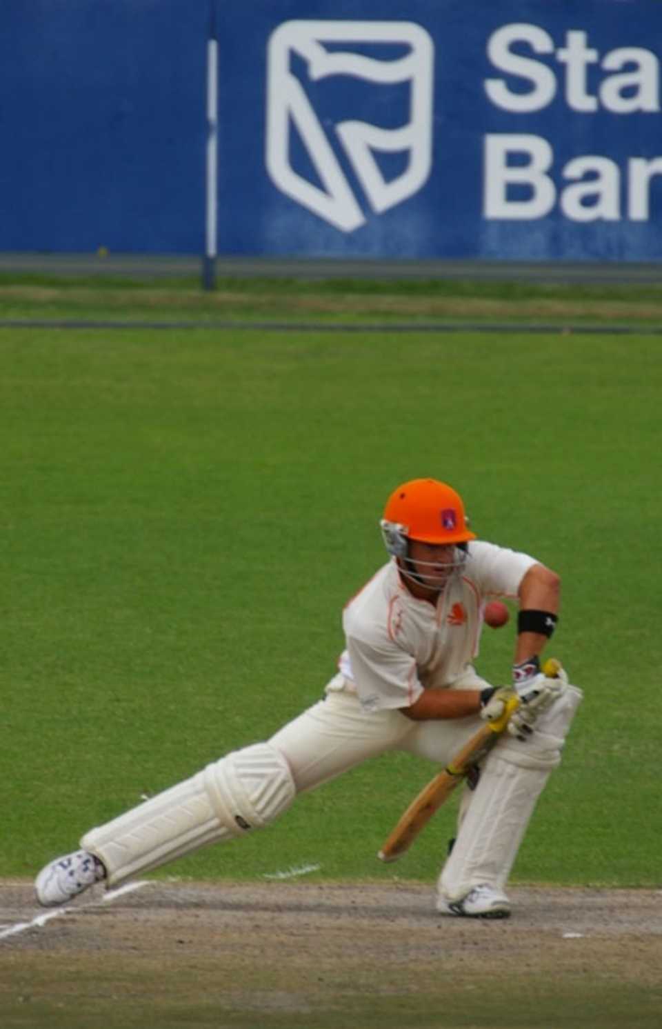 Ryan ten Doeschate during his second hundred of the match