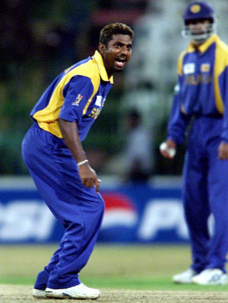 Muralitharan makes an unsuccessful appeal in the match against the Netherlands