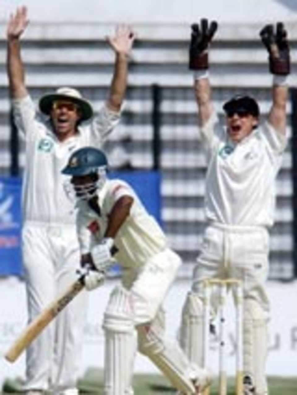 Stephen Fleming and Brendon McCullum appeal unsuccessfully against nafis Iqbal, Bangladesh v New Zealand, 1st Test, Dhaka, October 22, 2004
