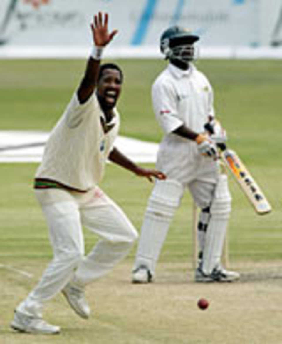 Corey Collymore appeals - unsuccessfully - for leg-before against Tatenda Taibu, Zimbabwe v West Indies, 2nd Test, Bulawayo, November 14, 2003