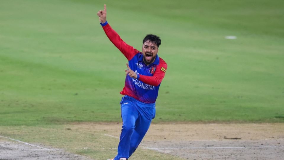 Rashid Khan is up in appeal for the wicket of Mohammad Rizwan, Afghanistan vs Pakistan, Asia Cup Super 4s, Sharjah, September 7, 2022
