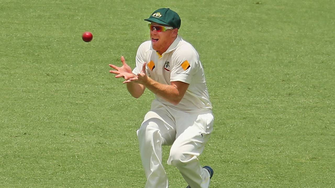 Chris Sabburg steadies himself under the catch to remove Kevin Pietersen, Australia v England, 1st Test, Brisbane, 4th day, November 24, 2013