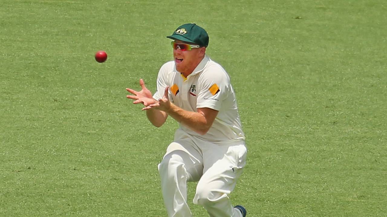 Chris Sabburg steadies himself under the catch to remove Kevin Pietersen, Australia v England, 1st Test, Brisbane, 4th day, November 24, 2013