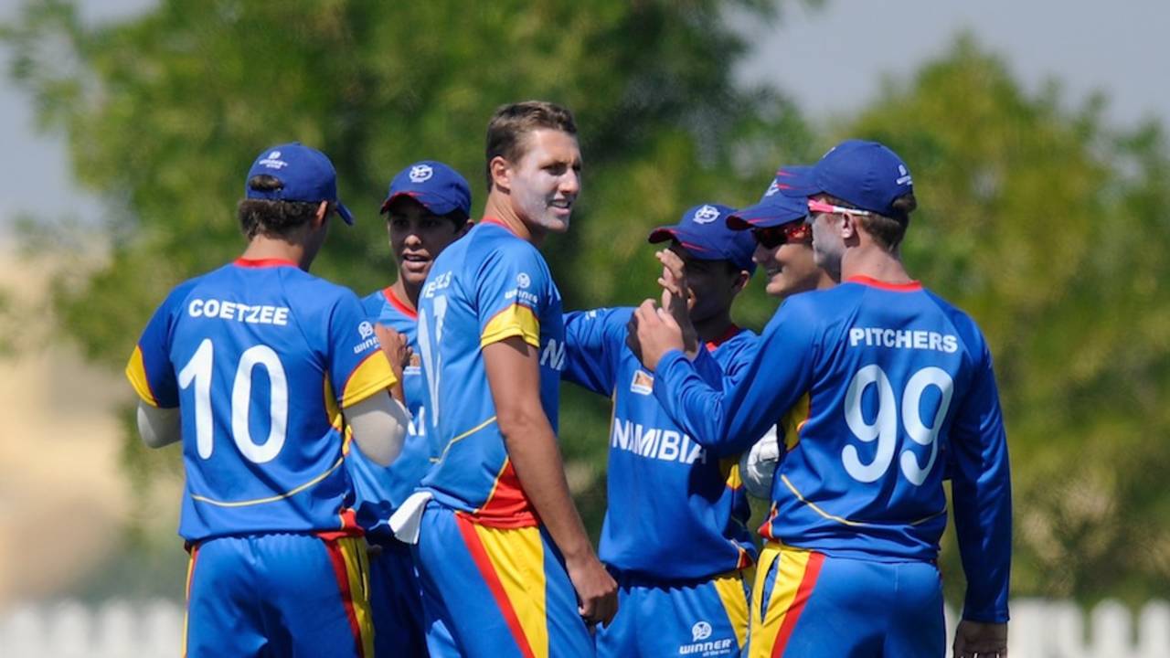 Bredell Wessells celebrates a wicket with team-mates