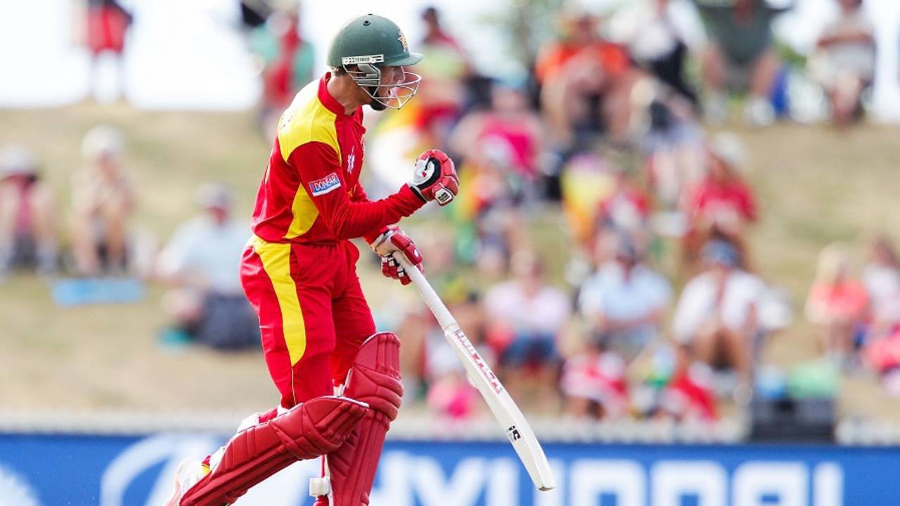 Sean Williams exults after hitting the winning runs, United Arab Emirates v Zimbabwe, World Cup 2015, Group B, Nelson, February 19, 2015