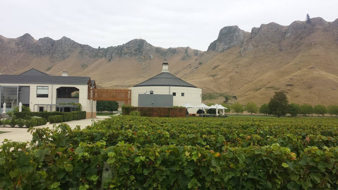 The Craggery Range winery, Napier, March 6, 2015