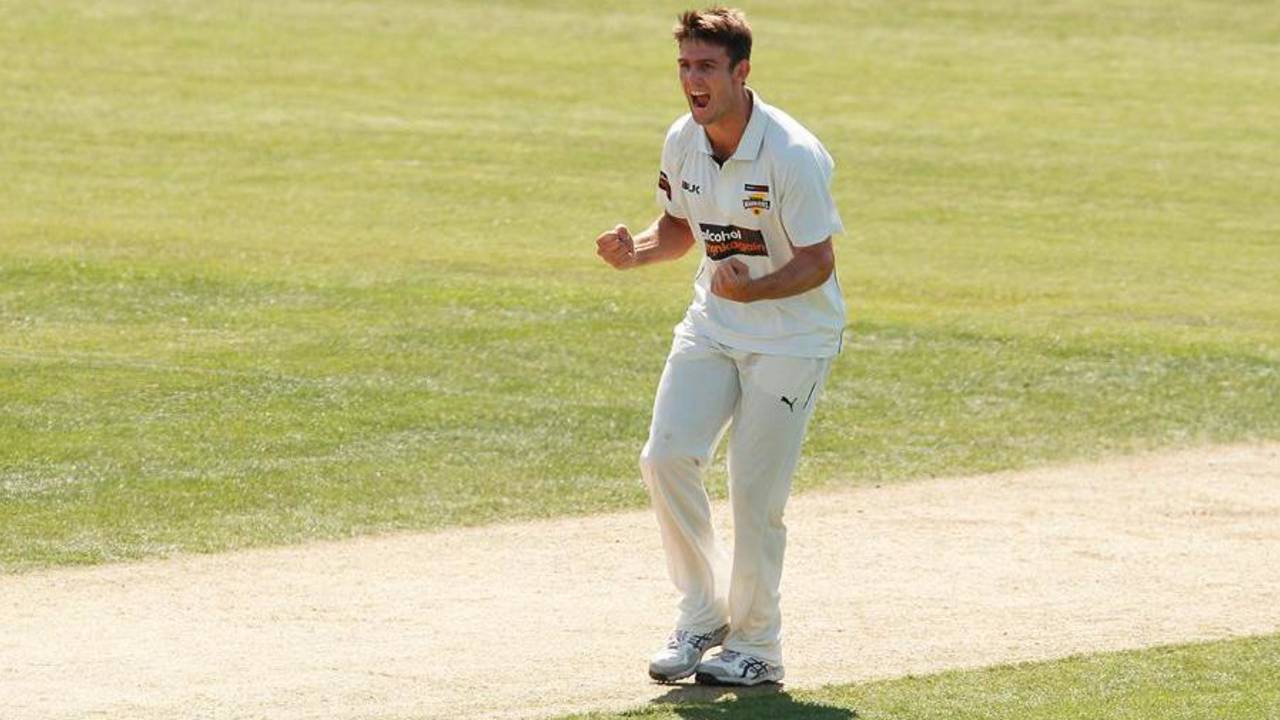 Mitchell Marsh celebrates a wicket, Tasmania v Western Australia, Sheffield Shield, Hobart, 3rd day, October 30, 2015