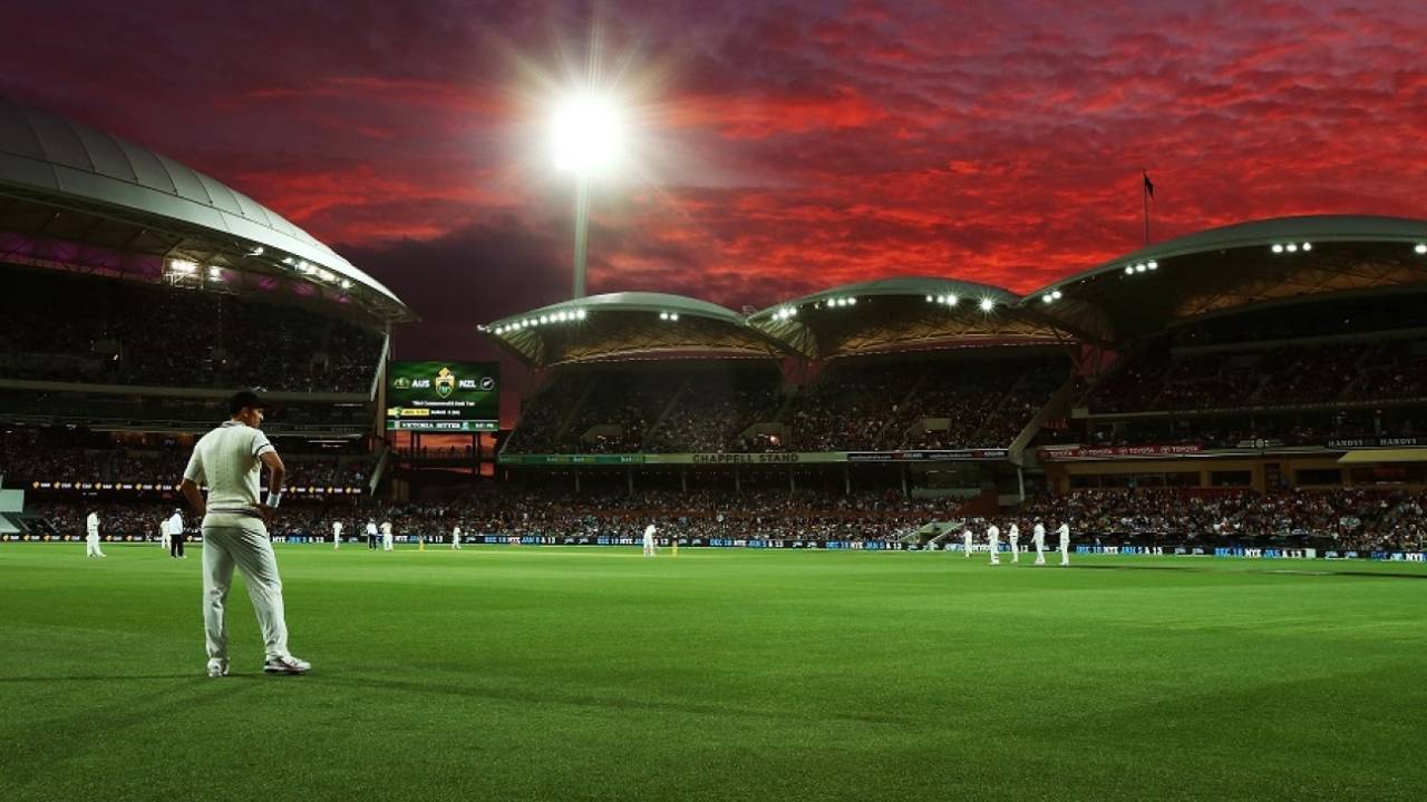 In the spotlight: The first day of day-night Test cricket had over 47,000 fans in attendance, Australia v New Zealand, 3rd Test, 1st day, Adelaide, November 27, 205