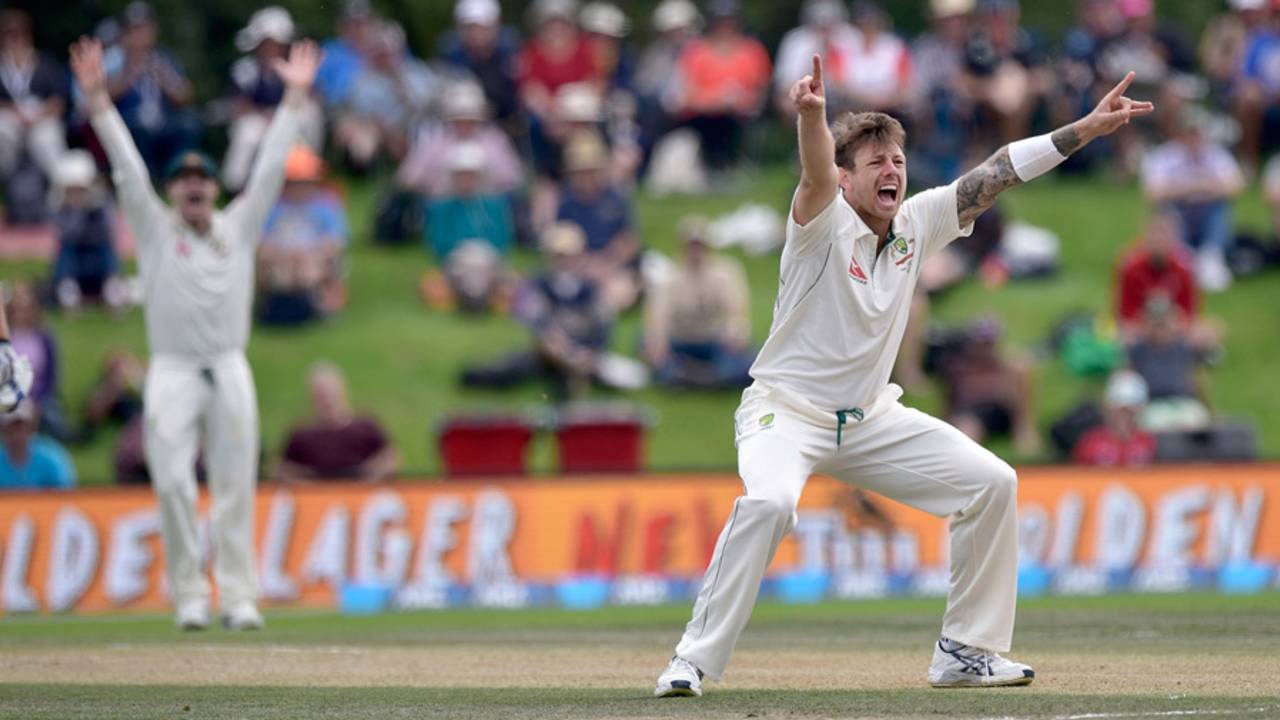 James Pattinson appeals for an lbw against Kane Williamson, New Zealand v Australia, 2nd Test, Christchurch, 4th day, February 23, 2016