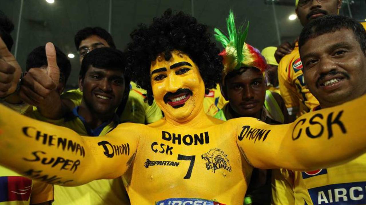 A fan painted in the Chennai Super Kings yellow, Chennai Super Kings v Rajasthan Royals, IPL, Chennai, May 10, 2015