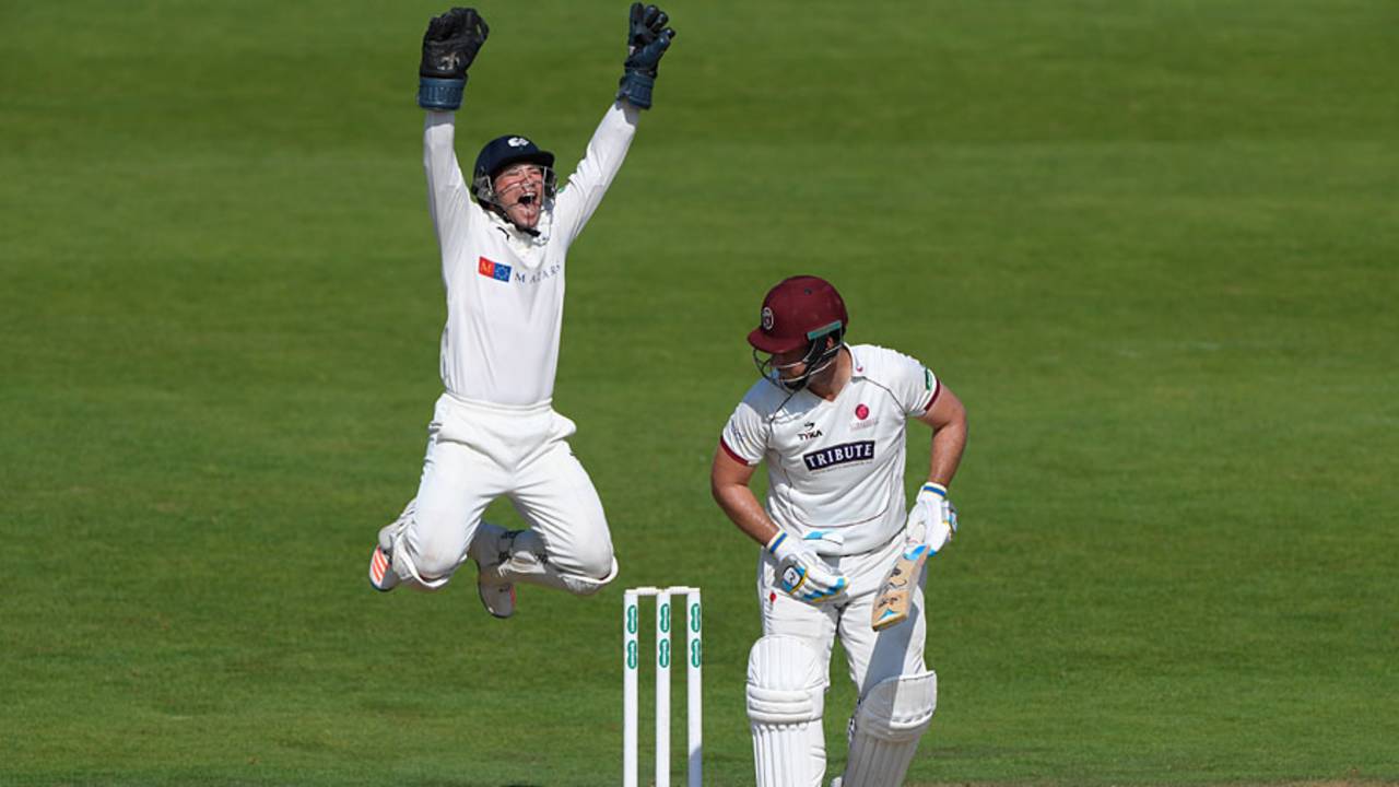 Andy Hodd's excited appeal proved successful as Jim Allenby was given lbw, Yorkshire v Somerset, County Championship, Division One, Headingley, 2nd day, September 13, 2016
