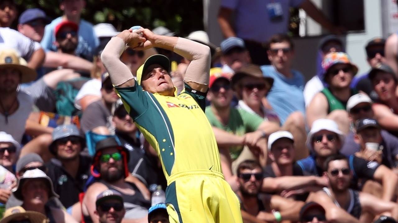 Marcus Stoinis nearly pulled off a spectacular catch at deep midwicket&nbsp;&nbsp;&bull;&nbsp;&nbsp;AFP