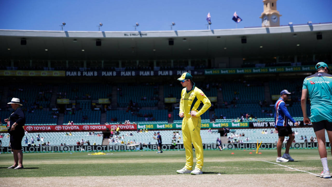 Steven Smith inspects the pitch, Australia v England, 3rd ODI, Sydney, January 21, 2018