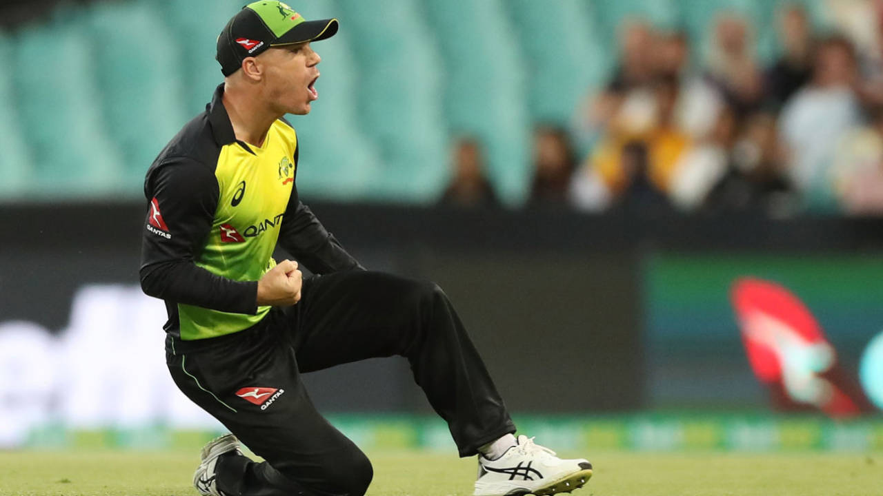 David Warner fist-pumps in celebration after taking a catch, Australia v New Zealand, Trans-Tasman T20, Sydney, February 3, 2018