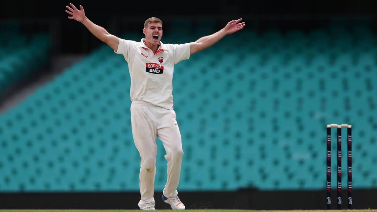 Nick Winter belts out an appeal, New South Wales v South Australia, Sheffield Shield 2017-18, Sydney, February 16, 2018