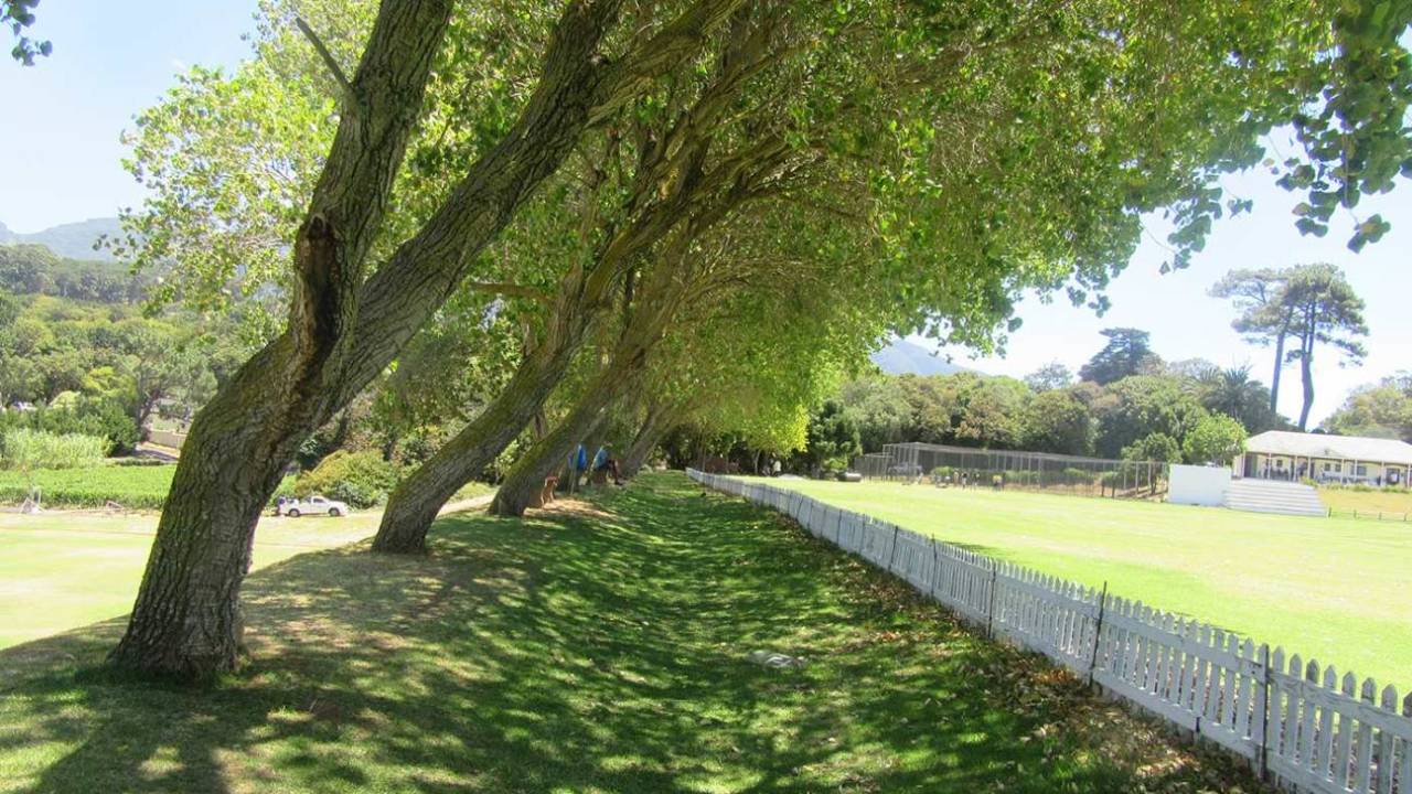 A view of the poplar-lined boundary at the Jacques Kallis Oval, Wynberg Boys High School, Cape Town, February 2018