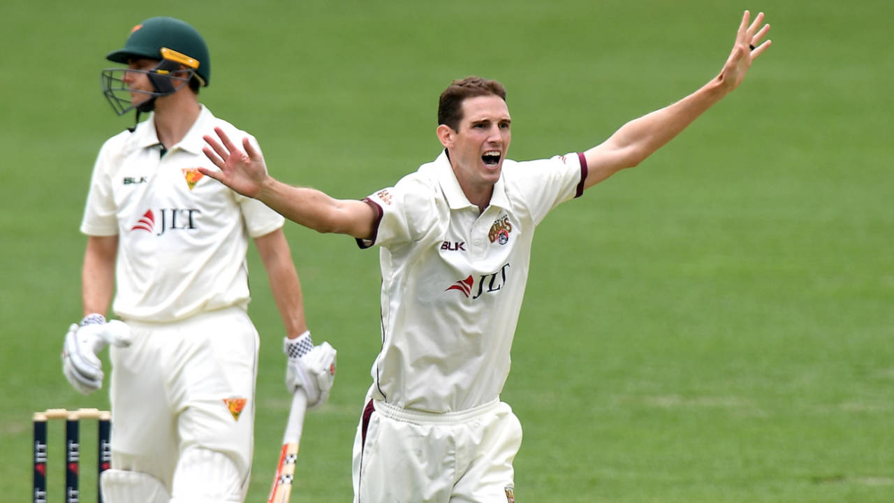 Peter George goes up in an appeal, Queensland v Tasmania, Sheffield Shield 2018-19, Brisbane, 2nd day, October 17, 2018