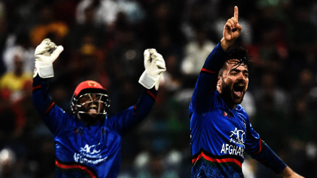 Rashid Khan appeals for a wicket, Afghanistan v Bangladesh, Group B, Asia Cup 2018, Abu Dhabi, September 20, 2018