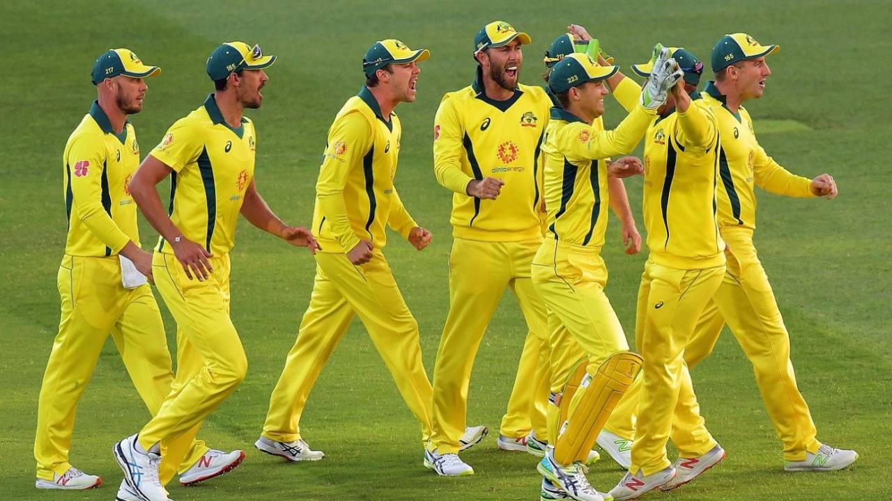 The Australians celebrate after a wicket, Australia v South Africa, 2nd ODI, Adelaide, November 9, 2018