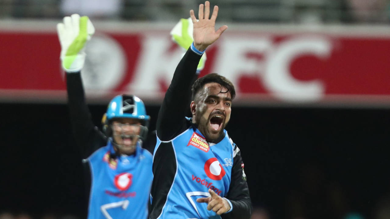 Rashid Khan was among the wickets yet again, Brisbane Heat v Adelaide Strikers, Big Bash League 2018-19, Brisbane, December 19, 2018