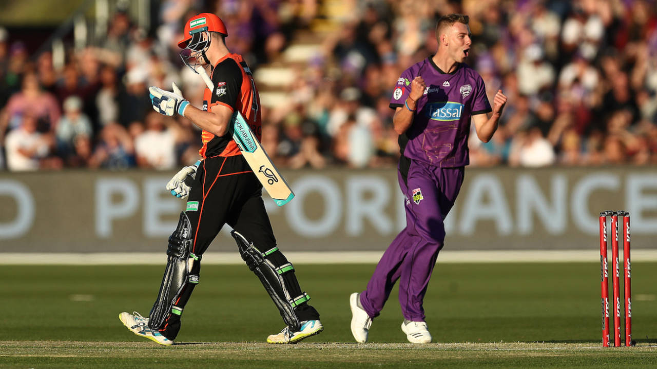 Riley Meredith is thrilled after taking a wicket, Hobart Hurricanes v Perth Scorchers, BBL 2018-19, Launceston, December 30, 2018