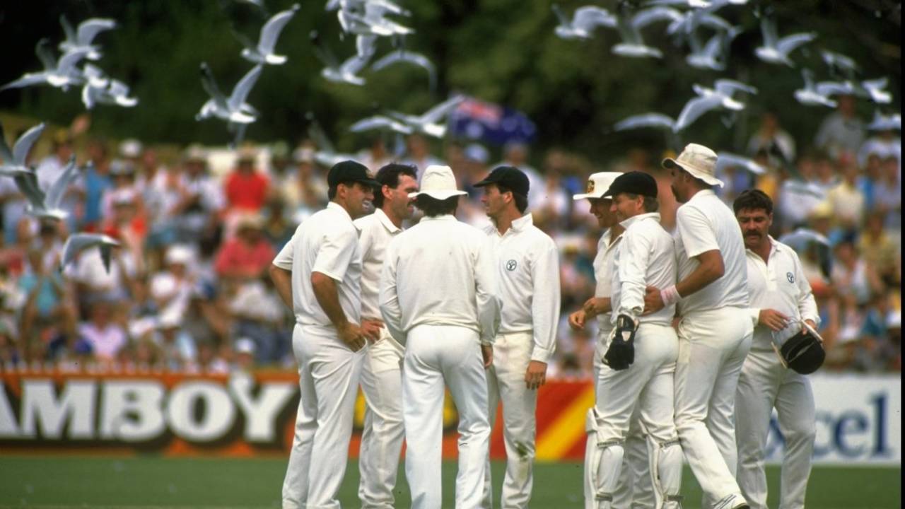 Seagulls, a cathedral spire and long straight boundaries: it must be the Adelaide Oval