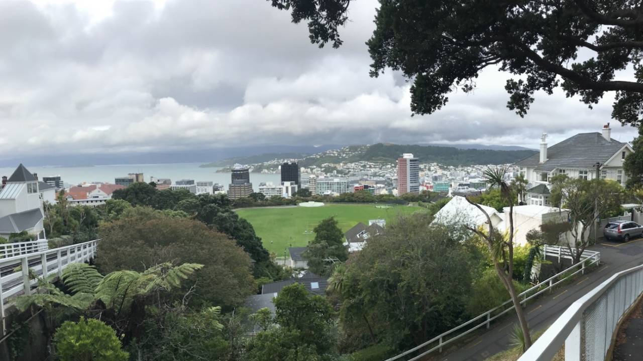 A view of Wellington from the Botanic Garden