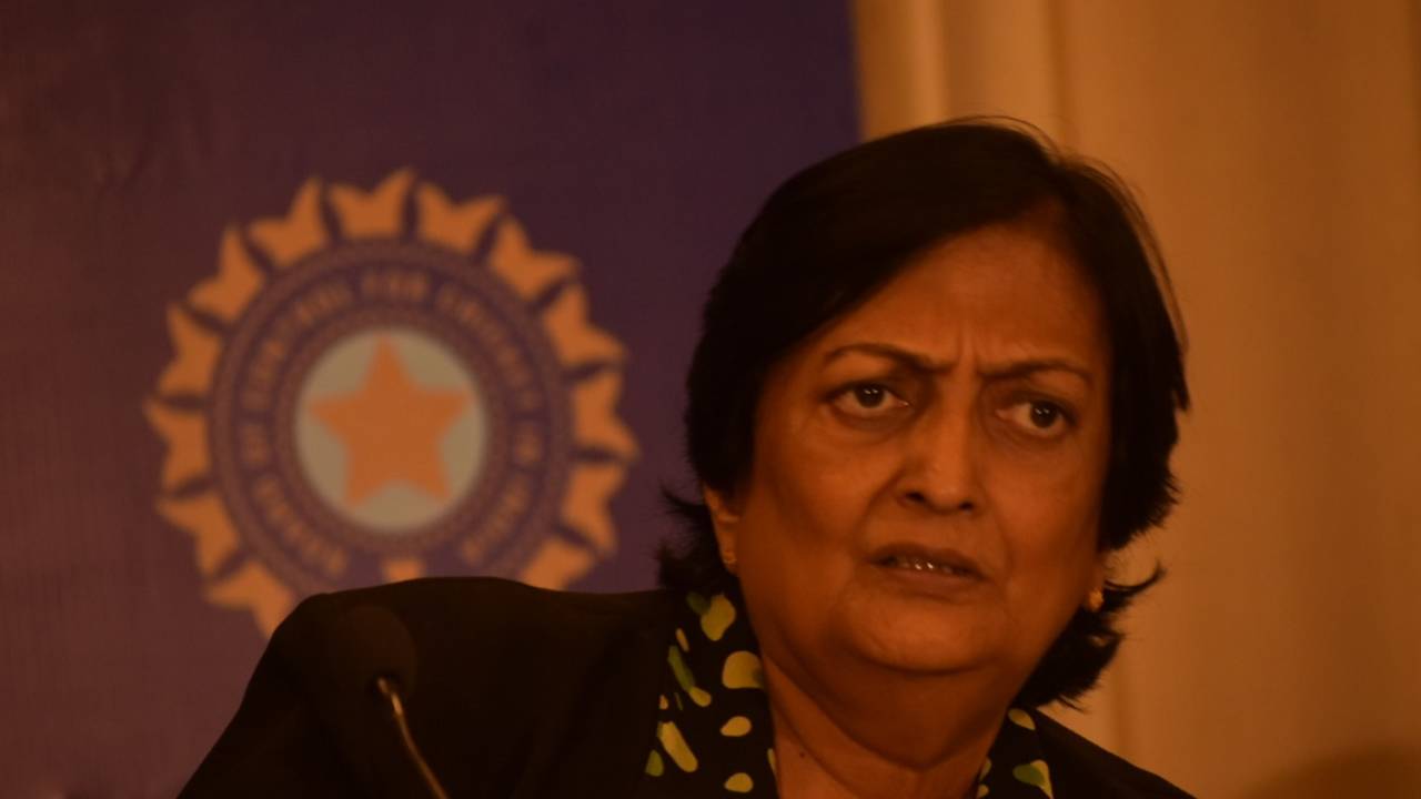 Shanta Rangaswamy at a CAC meeting