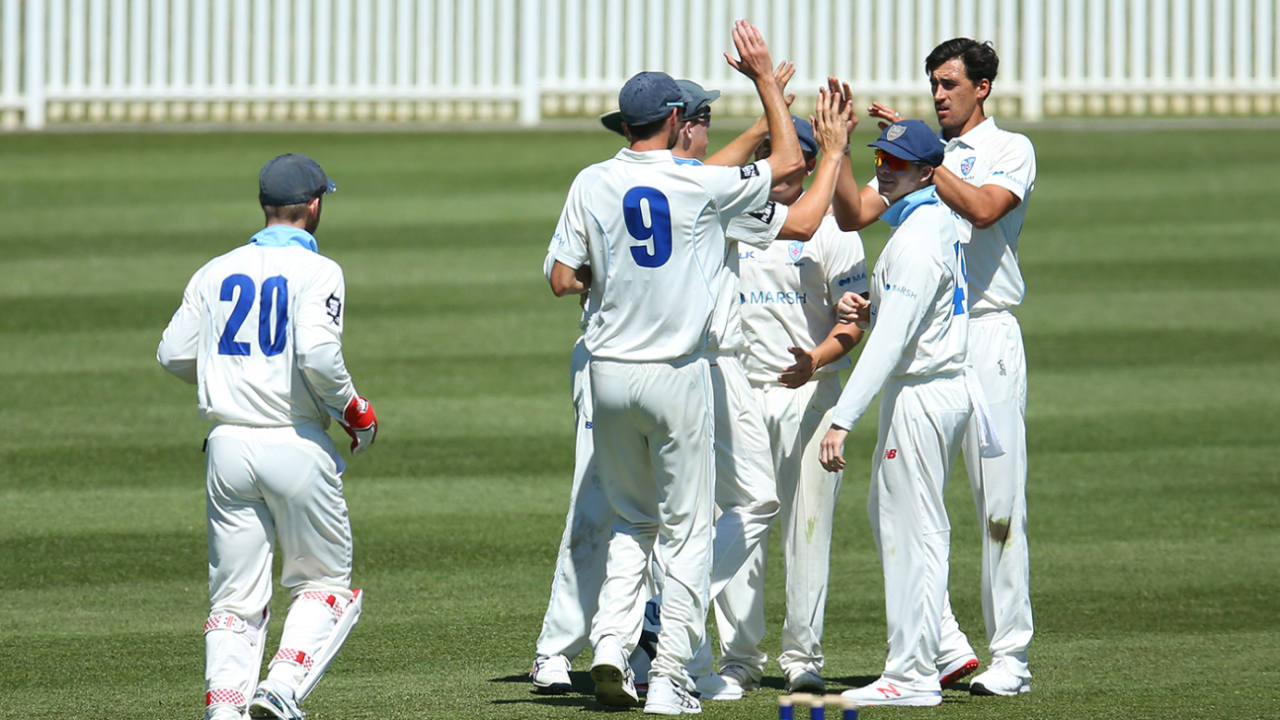 Mitchell Starc removed Matthew Wade on a tough day for the bowlers, New South Wales v Tasmania, Sheffield Shield, Drummoyne Oval, October 18, 2019