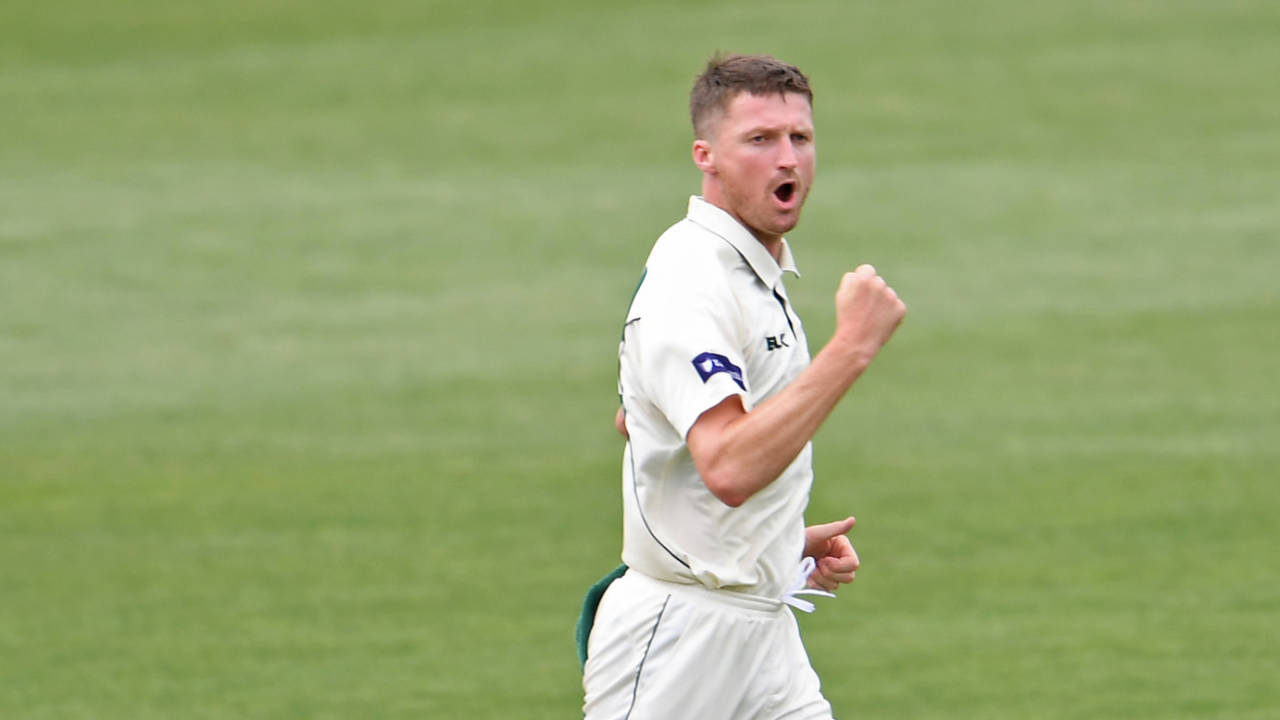 Jackson Bird celebrates a wicket, Tasmania v Victoria, Sheffield Shield, Hobart, November 1, 2019