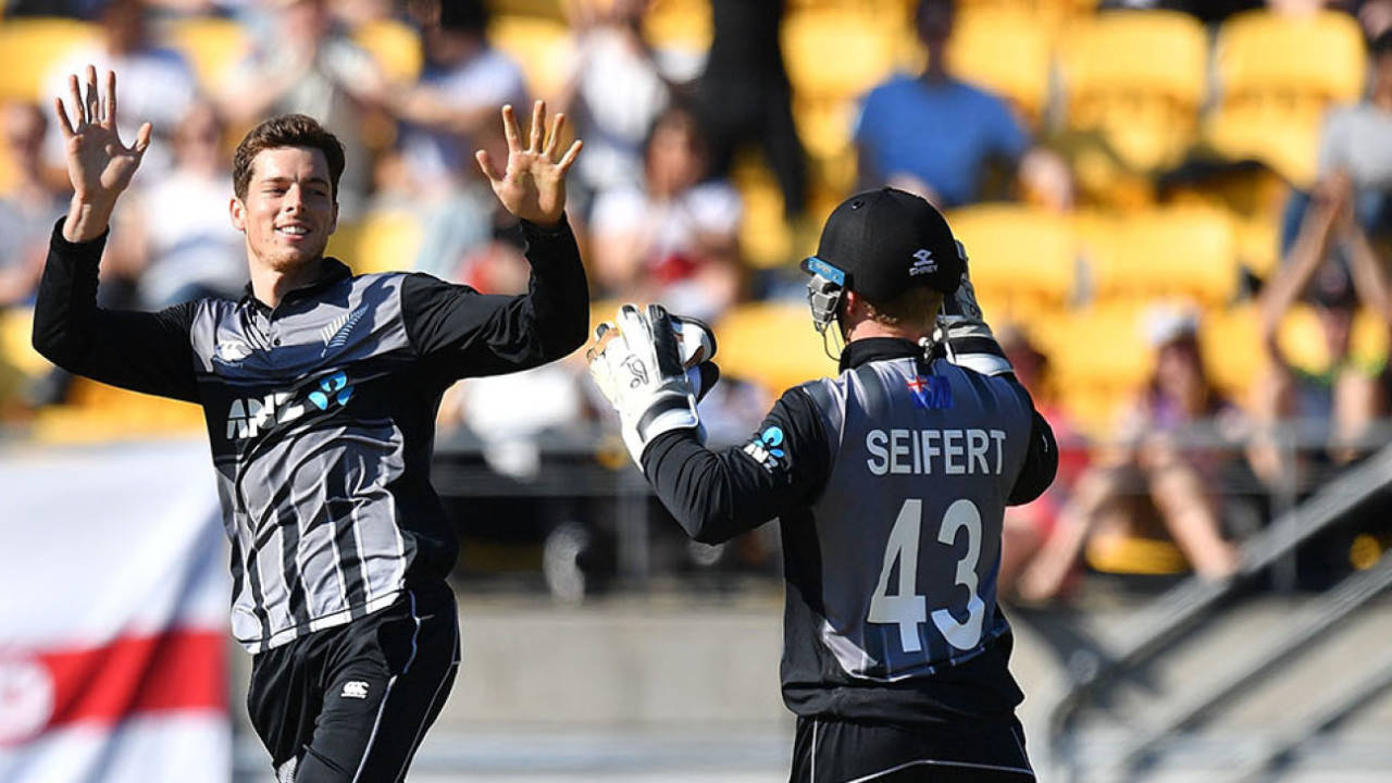 Mitchell Santner celebrates a wicket, New Zealand v England, 2nd T20 , Wellington, November 3, 2019