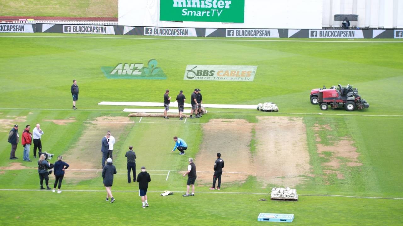 The pitch for New Zealand's last Test at the Basin Reserve, in March 2019, against Bangladesh