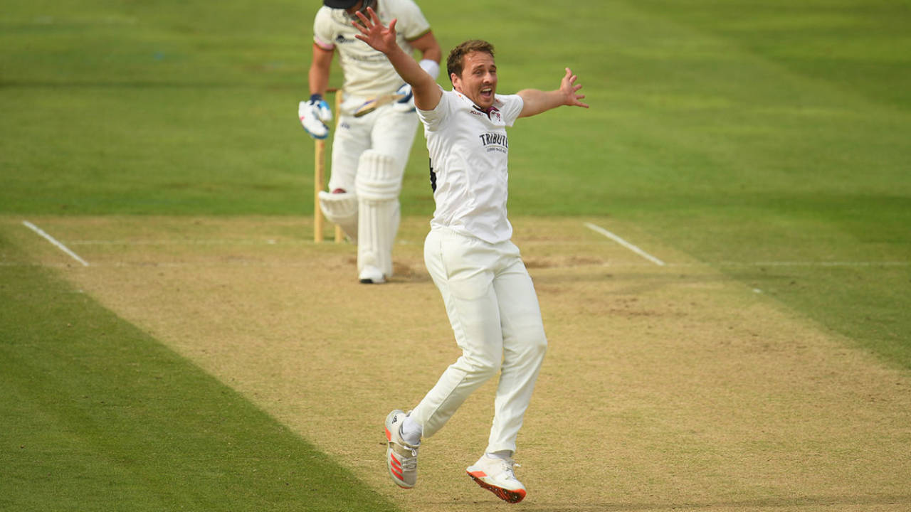Josh Davey belts out an appeal, Somerset v Gloucestershire, Bob Willis Trophy, Taunton, August 24, 2020