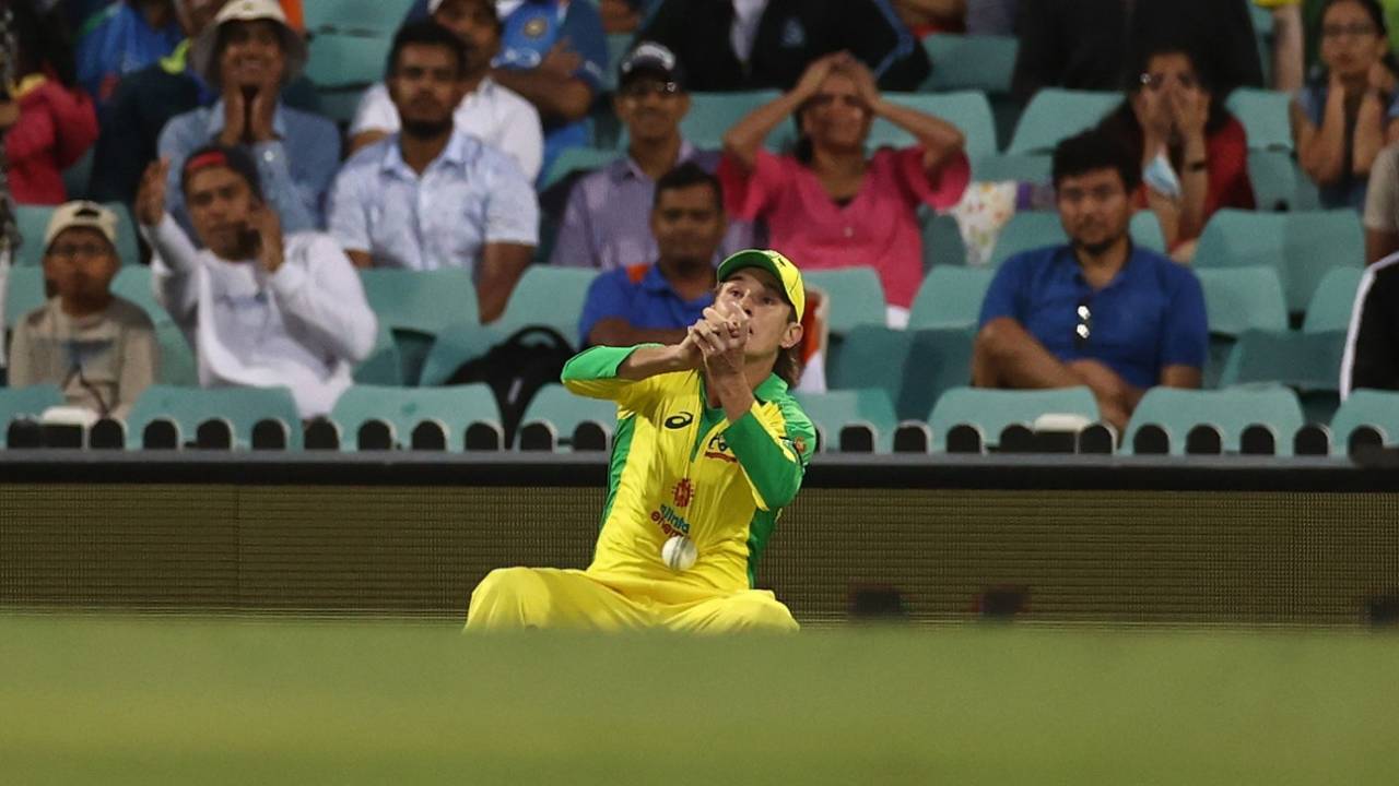 Adam Zampa drops Virat Kohli, Sydney, Australia vs India, 1st ODI, November 27, 2020