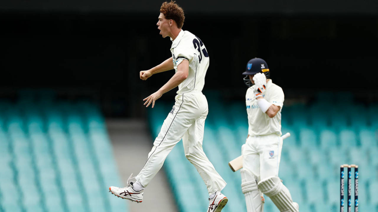 Steven Smith was one of Mitch Perry's three wickets&nbsp;&nbsp;&bull;&nbsp;&nbsp;Getty Images